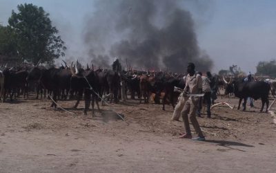 Army Destroys Boko Haram Market, Rescues 192 Hostages