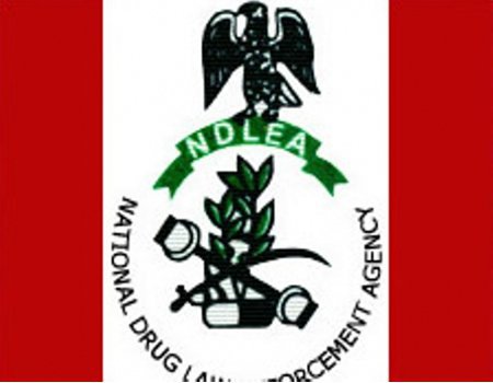 NDLEA Seizes 30 Million Naira Worth of Illicit Drugs From Traffickers