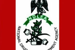 Traffickers excreted 119 wraps of known, unknown drugs –NDLEA