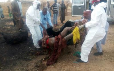 Pregnant Suicide Bomber, Other Subdued In Borno State