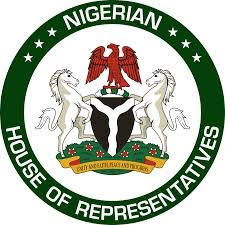 Reps Okay 20 Years Jail Term For Financial Crime.