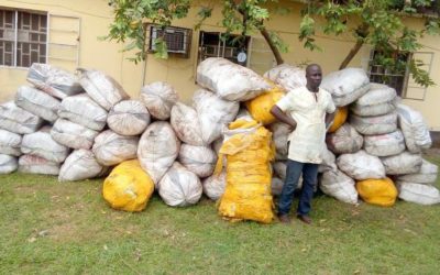 NDLEA intercepts dried cannabis shipped from Ghana