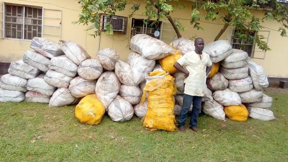 NDLEA intercepts dried cannabis shipped from Ghana