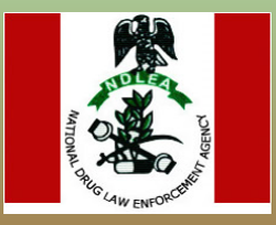 NDLEA impounds 39,224,109kg drugs in Kano